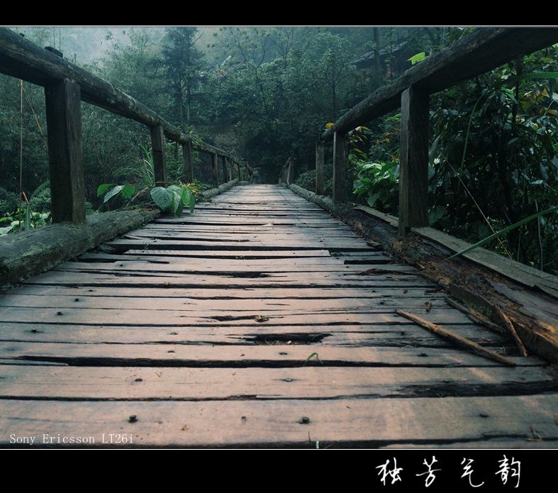 五月手机随拍281 / 作者:独芳气韵 / 帖子ID:101868