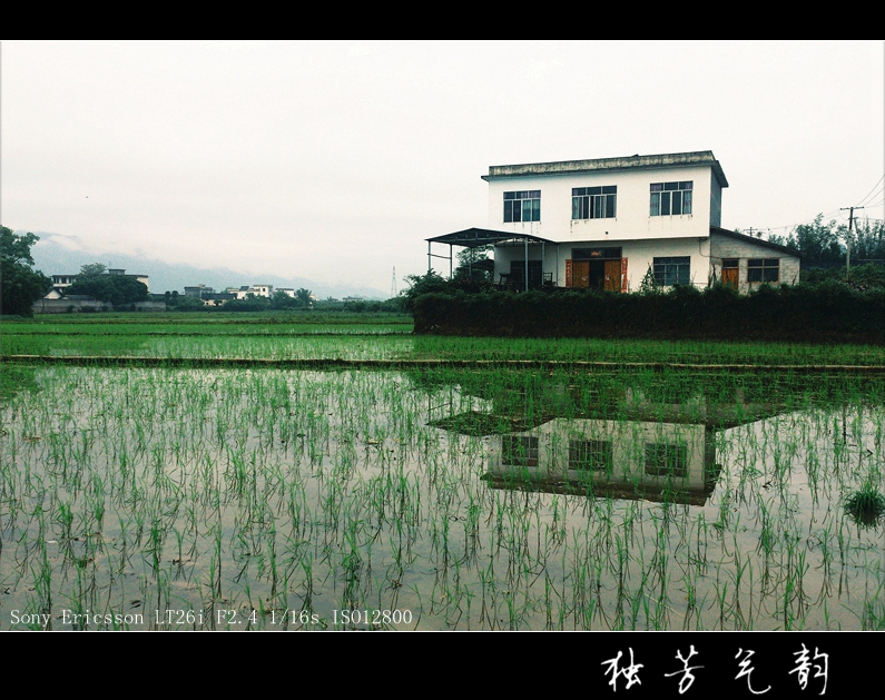 五月手机随拍504 / 作者:独芳气韵 / 帖子ID:101868