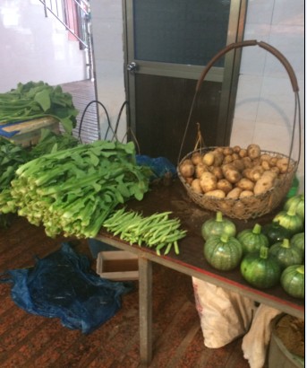 菜市场对比---  今天带大家看看外地的菜市场528 / 作者:小雨点 / 帖子ID:101959