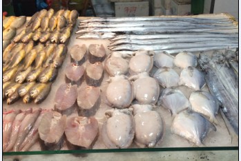 菜市场对比---  今天带大家看看外地的菜市场158 / 作者:小雨点 / 帖子ID:101959