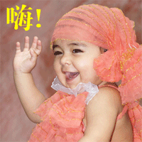哈哈  这样也行490 / 作者:瑶乡看兰 / 帖子ID:100149