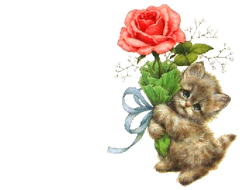 今天人品超爆发啦啦18 / 作者:瑶乡看兰 / 帖子ID:101893