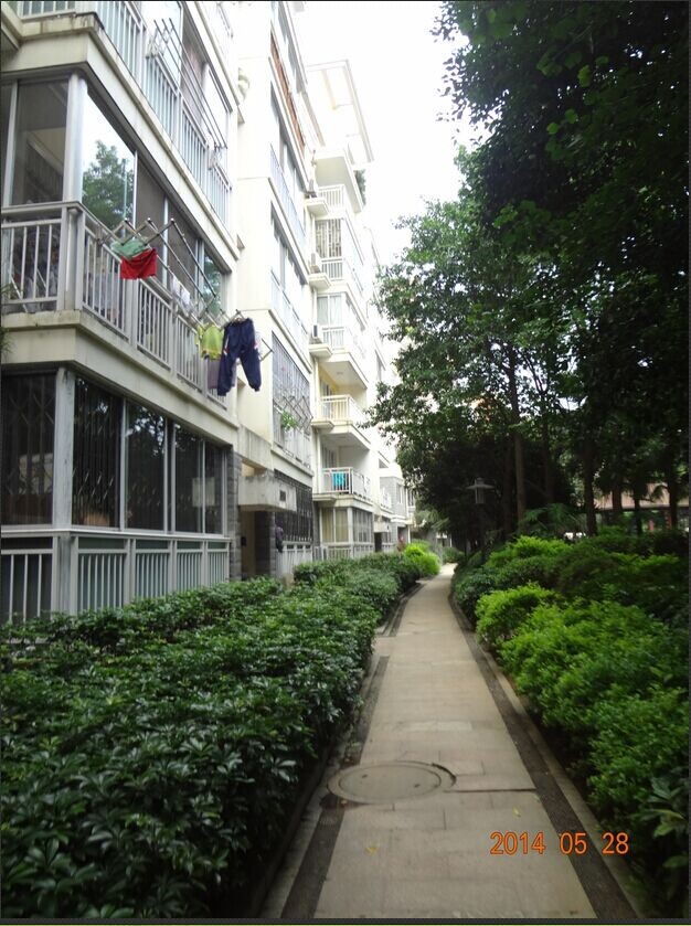 房子急售，2005年的房子。63万机不可失，失不再来。216 / 作者:小潴猪 / 帖子ID:102178