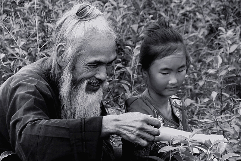 《恭城油茶专题片》412 / 作者:小绿 / 帖子ID:102434