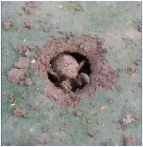 恭城特产，人称胡纸渣!245 / 作者:罗少爷 / 帖子ID:102488