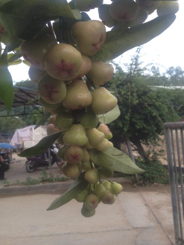 这个  味道不错401 / 作者:烟火的暧昧 / 帖子ID:102535