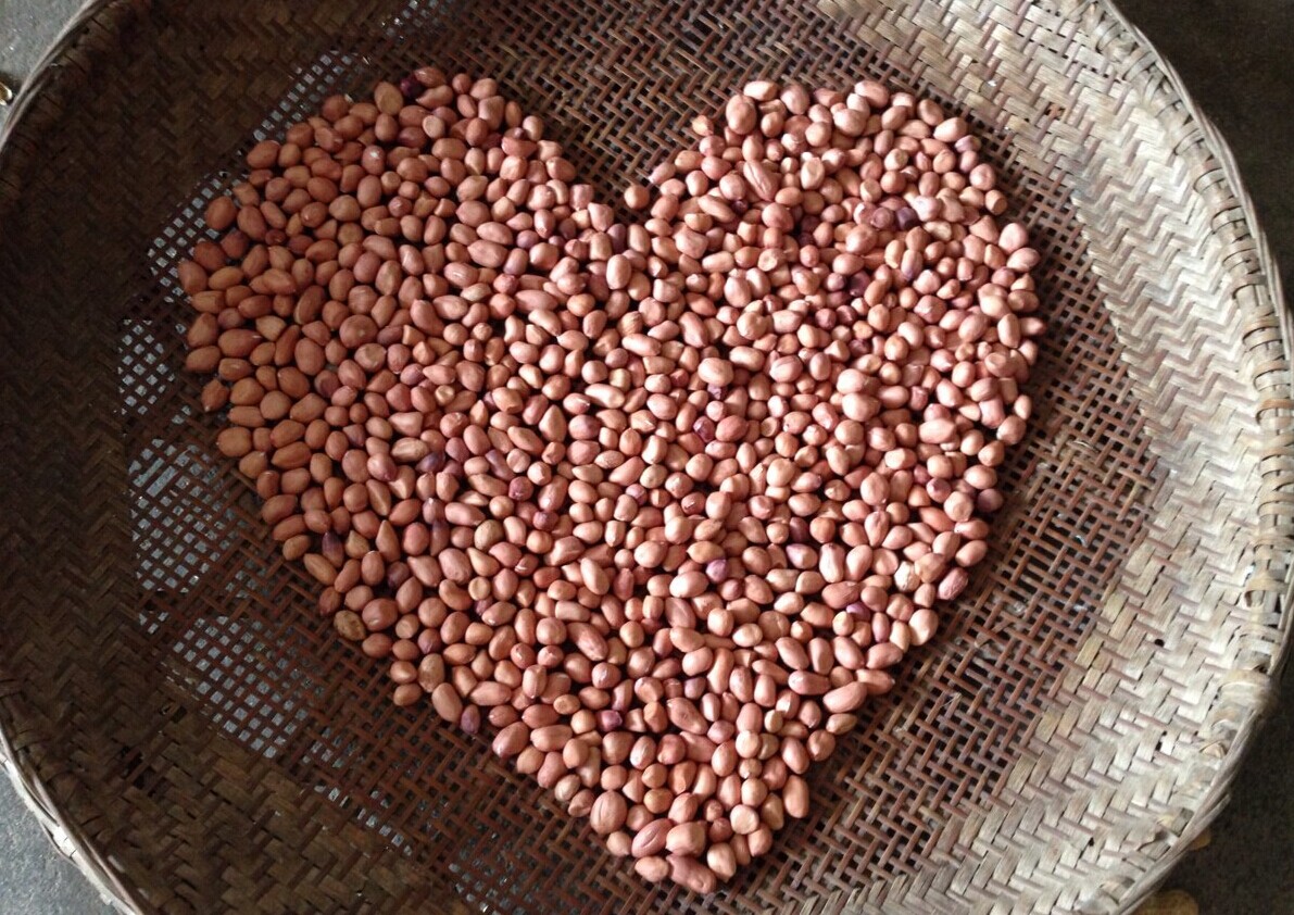 剥个花生都呗老实，这是那么无聊的节奏啊1 / 作者:伊本朋 / 帖子ID:102540