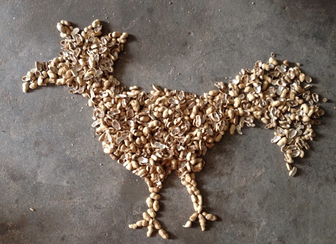 剥个花生都呗老实，这是那么无聊的节奏啊208 / 作者:伊本朋 / 帖子ID:102540