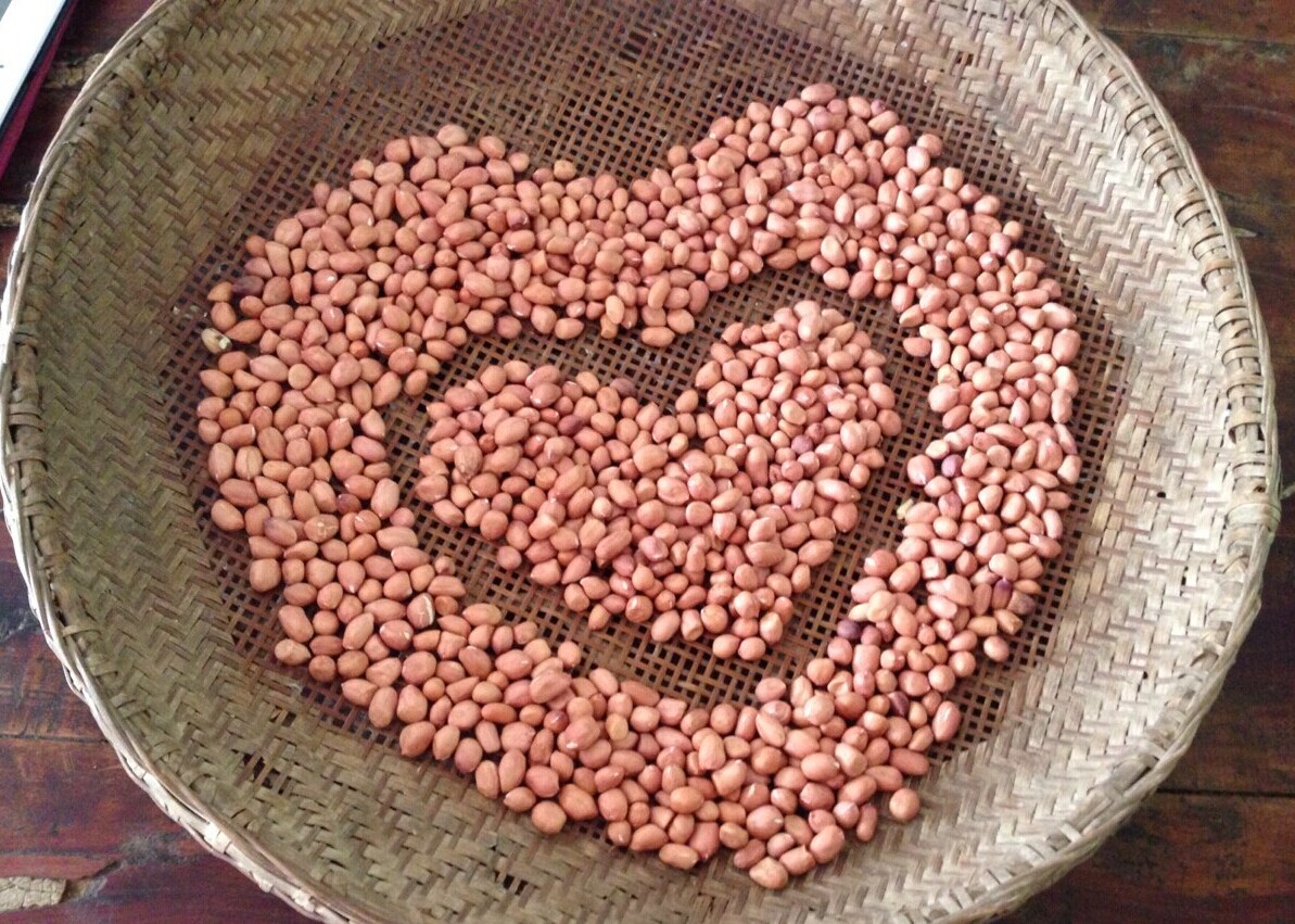 剥个花生都呗老实，这是那么无聊的节奏啊725 / 作者:伊本朋 / 帖子ID:102540