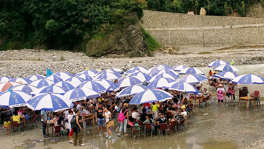 成都人民太会享受了837 / 作者:乖乖不哭 / 帖子ID:102650