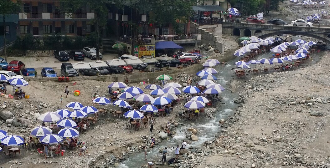 成都人民太会享受了805 / 作者:乖乖不哭 / 帖子ID:102650