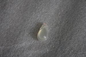 谁说恭城无好玉<一>949 / 作者:风小小 / 帖子ID:102689