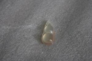 谁说恭城无好玉<一>735 / 作者:风小小 / 帖子ID:102689