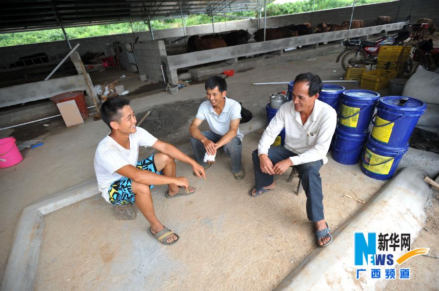 【人物】一个25岁瑶族大学生“牛倌”周超611 / 作者:社区小编 / 帖子ID:102740