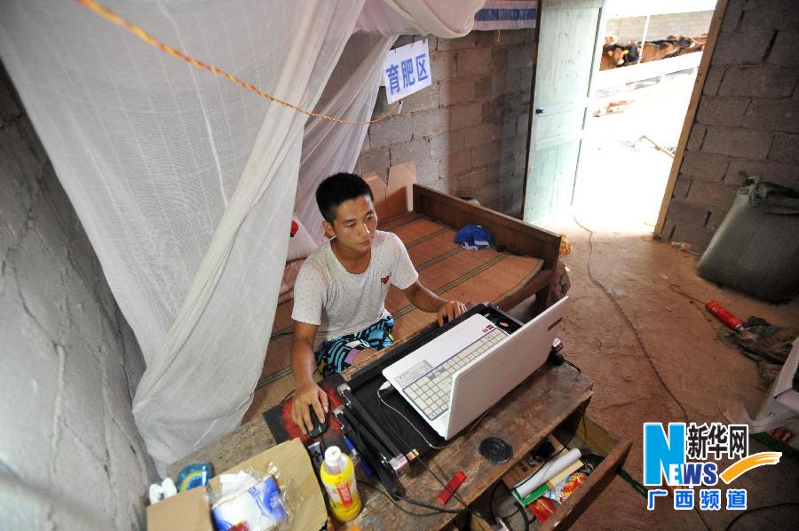 【人物】一个25岁瑶族大学生“牛倌”周超438 / 作者:社区小编 / 帖子ID:102740