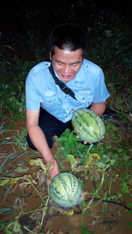 半夜西瓜地162 / 作者:恭城无聊人 / 帖子ID:102746