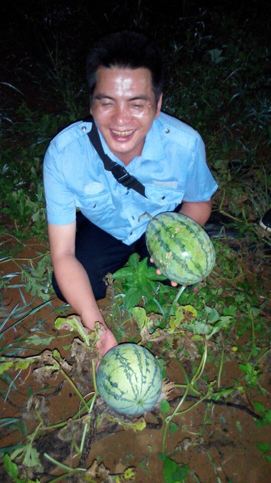 半夜西瓜地936 / 作者:恭城无聊人 / 帖子ID:102746