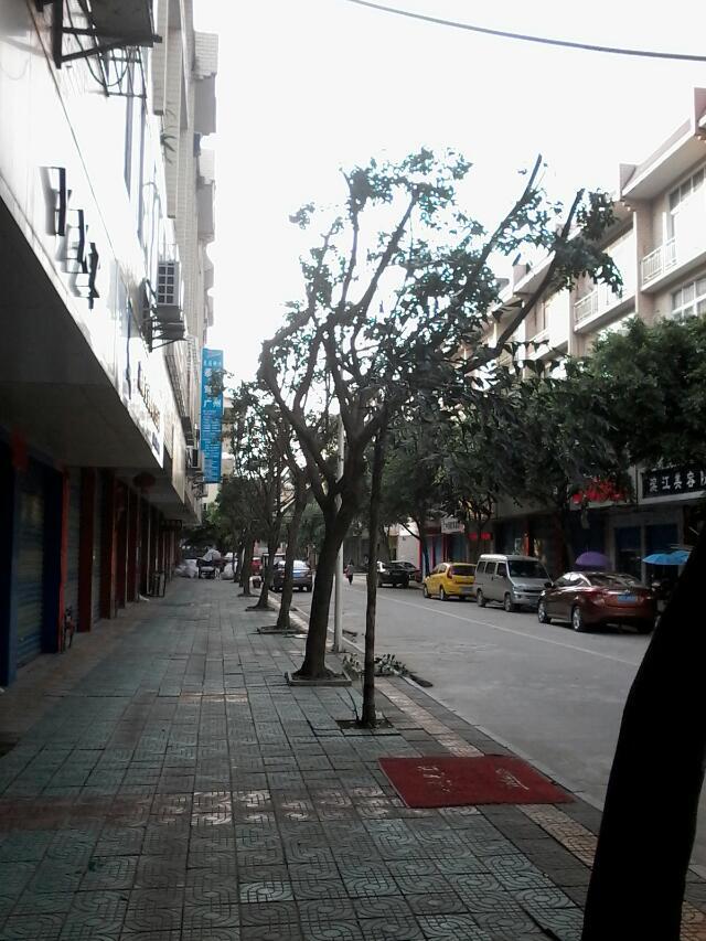 谁来拯救滨江苑的树荫？？？781 / 作者:809433048 / 帖子ID:102817