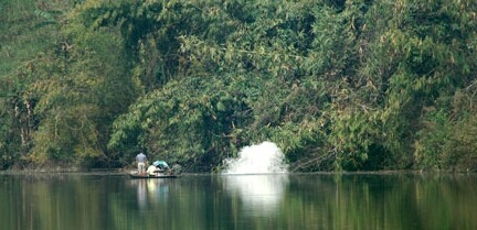 恭城一男子河边炸鱼 误将摸鱼人当鱼炸死369 / 作者:社区小编 / 帖子ID:102830