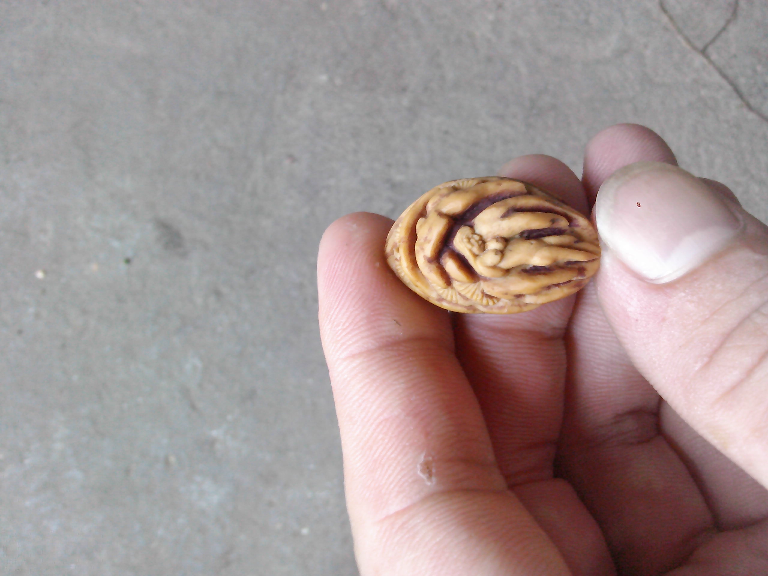 今天完成的！107 / 作者:排散 / 帖子ID:102933