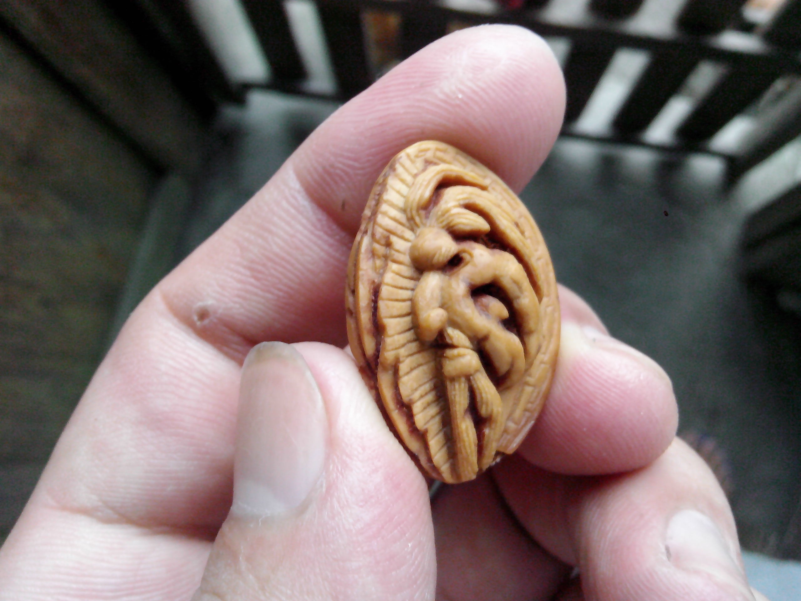 一天一个的节奏！540 / 作者:排散 / 帖子ID:102941