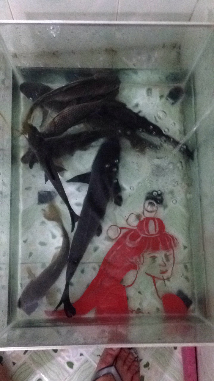 恭城钓鱼爱好者  欢迎加入本群   群号340427956163 / 作者:猴子哥哥 / 帖子ID:103098