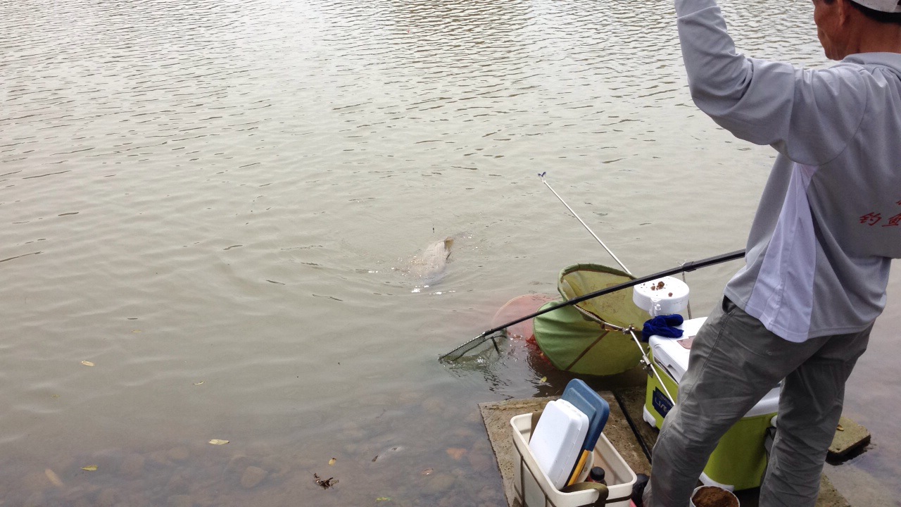 恭城钓鱼爱好者  欢迎加入本群   群号34042795690 / 作者:猴子哥哥 / 帖子ID:103098