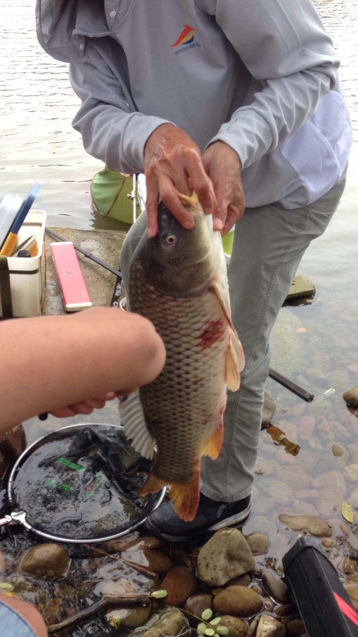 恭城钓鱼爱好者  欢迎加入本群   群号340427956521 / 作者:猴子哥哥 / 帖子ID:103098