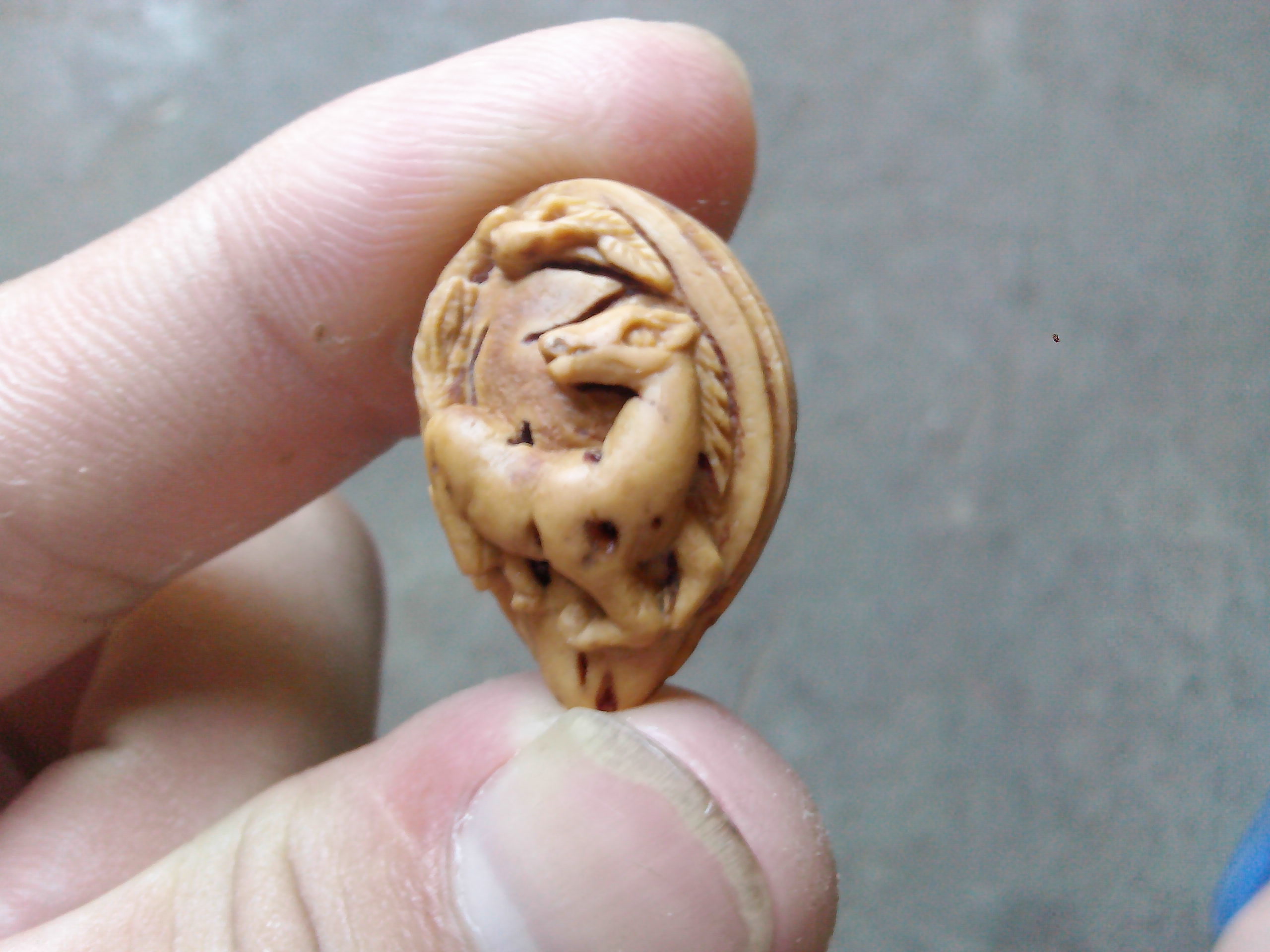 龙马精神一一桃核双面雕！529 / 作者:排散 / 帖子ID:103202