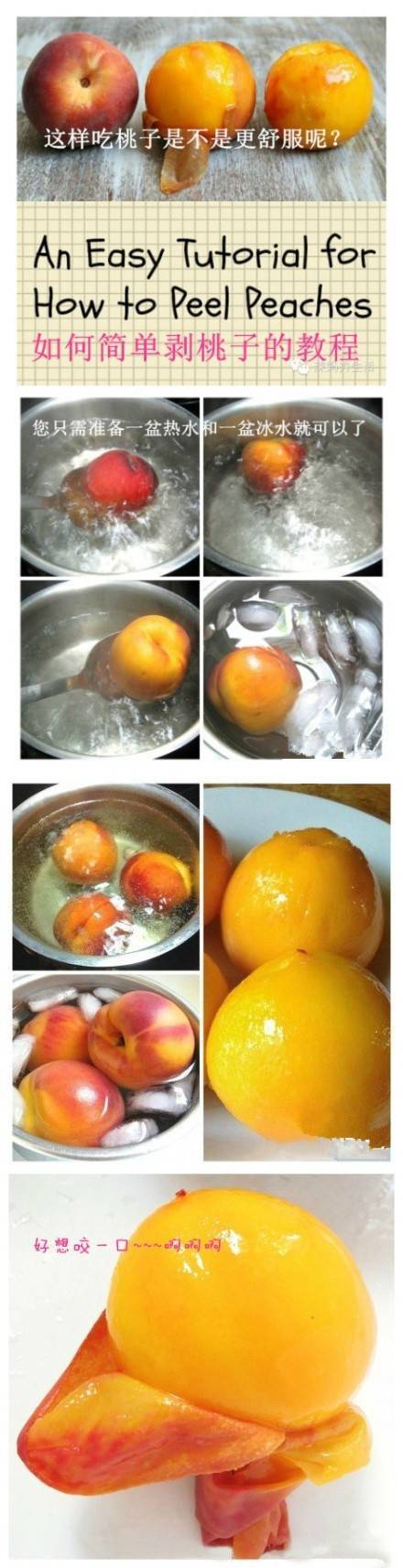 快速切水果...34 / 作者:哟西 / 帖子ID:103563