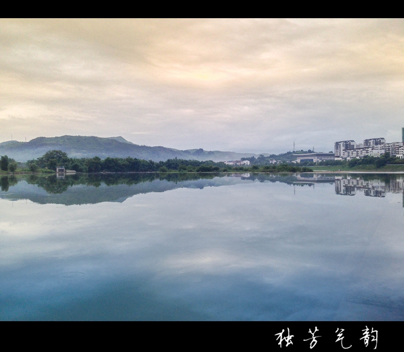 七月手机随拍49 / 作者:独芳气韵 / 帖子ID:103606