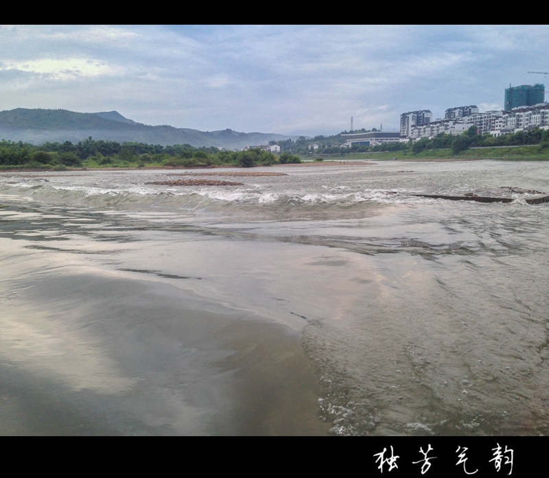 七月手机随拍52 / 作者:独芳气韵 / 帖子ID:103606