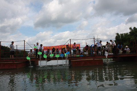 恭城天气晴朗水势平缓 万尾成鱼放流茶江636 / 作者:九命猫 / 帖子ID:103652