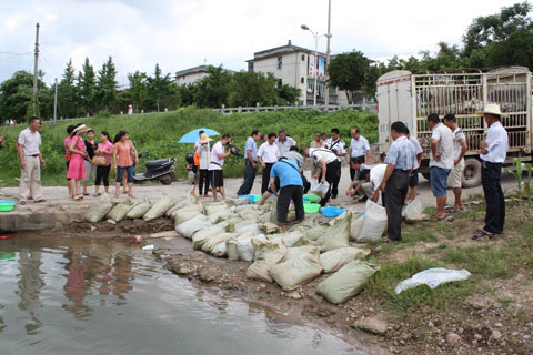 恭城天气晴朗水势平缓 万尾成鱼放流茶江985 / 作者:九命猫 / 帖子ID:103652