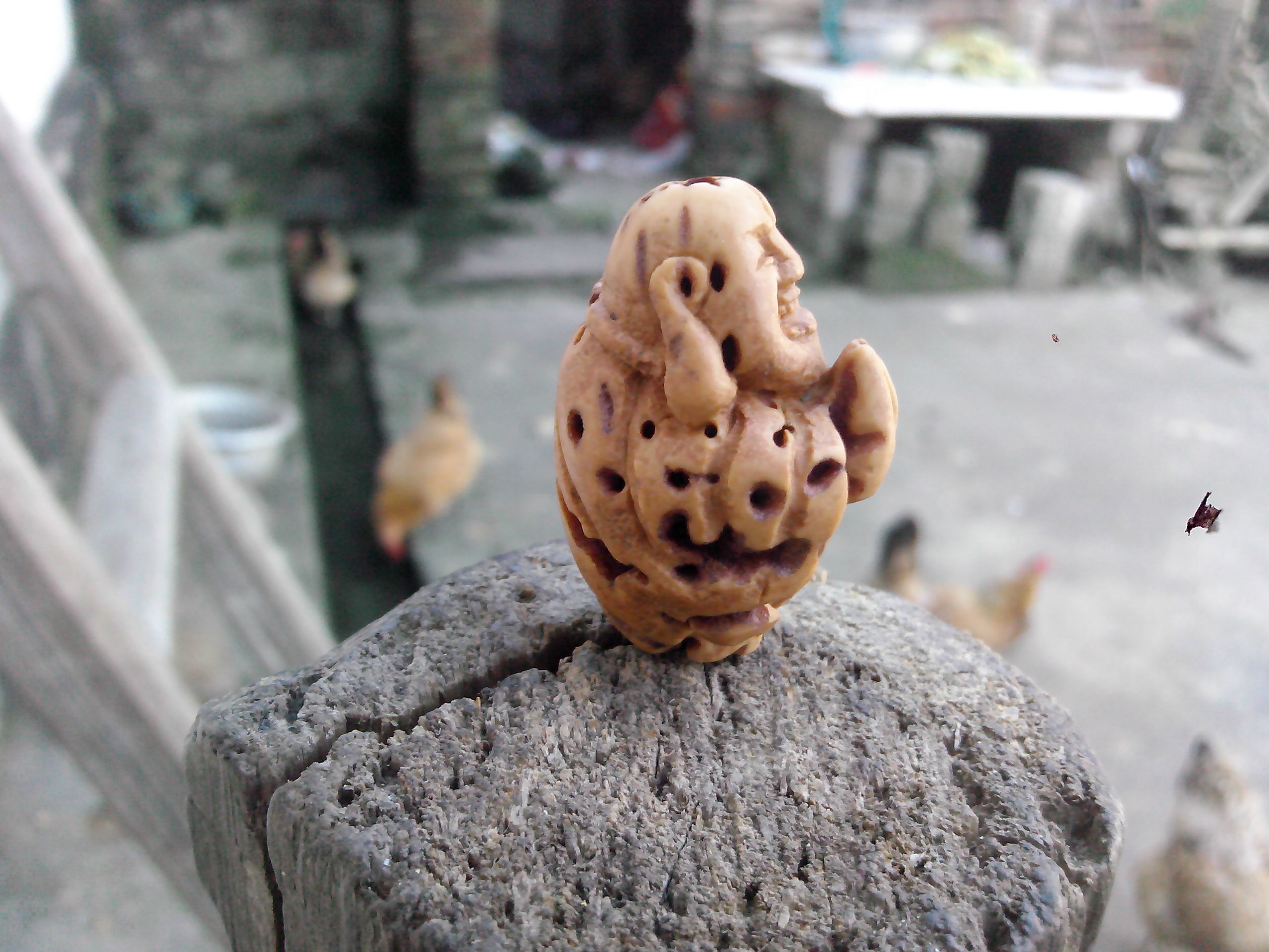 桃核小弥勒！！480 / 作者:排散 / 帖子ID:103711