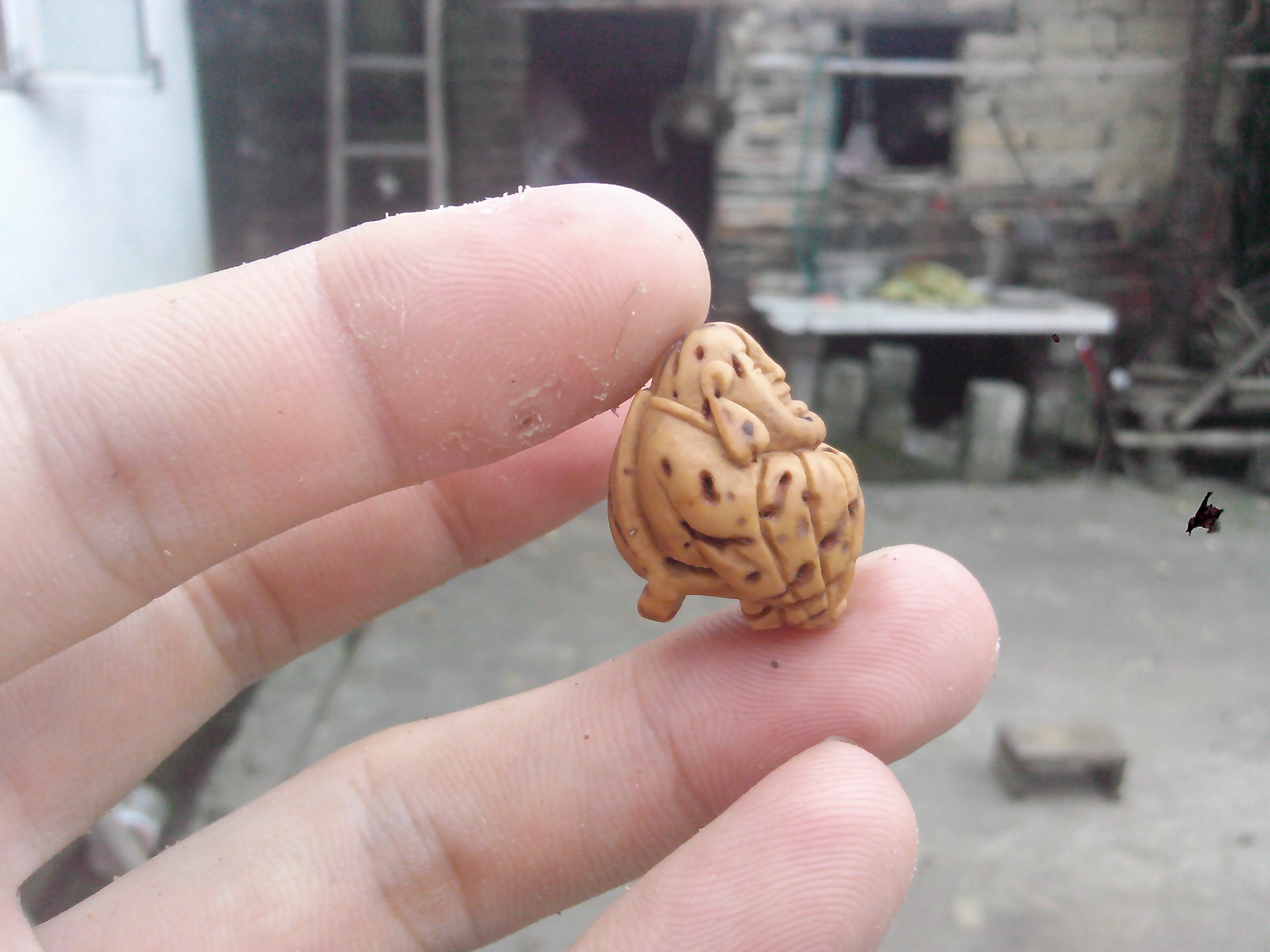 桃核小弥勒！！605 / 作者:排散 / 帖子ID:103711