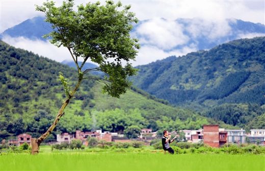 广西农民画家王华的七彩梦268 / 作者:九命猫 / 帖子ID:103751