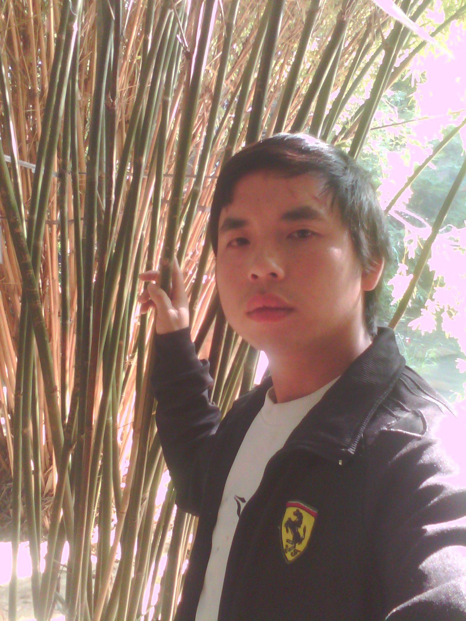 颓废的我想安定下来了？839 / 作者:右手的寂寞 / 帖子ID:103846