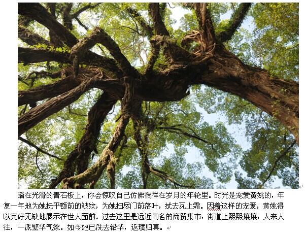 中国最美乡村黄姚古镇之柚子灯节752 / 作者:hqs798 / 帖子ID:103869