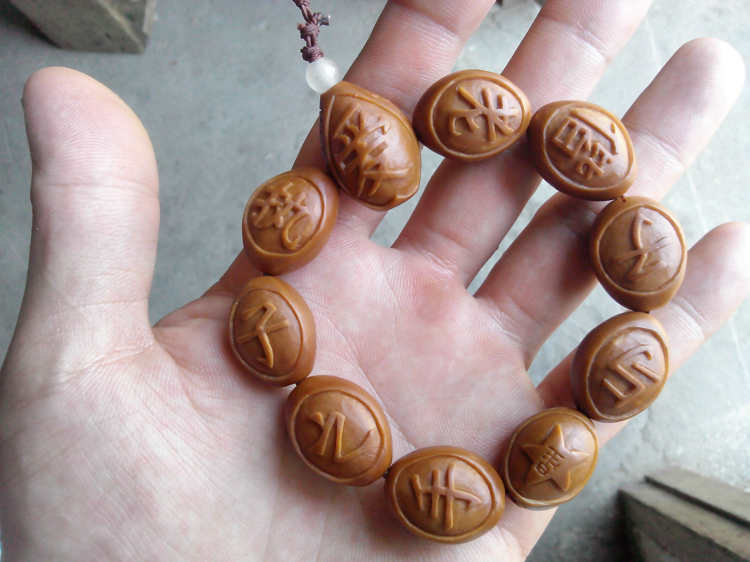 执子之手，与子偕老！505 / 作者:排散 / 帖子ID:104140