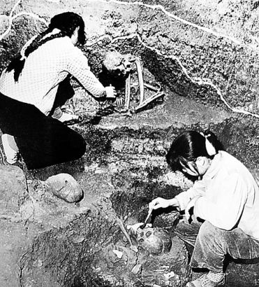 桂林一岩洞惊现人体骨骼 揭秘甑皮岩人洞穴生活672 / 作者:哟西 / 帖子ID:104165