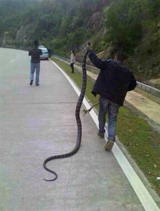 徒手抓三万！240 / 作者:罗少爷 / 帖子ID:104321