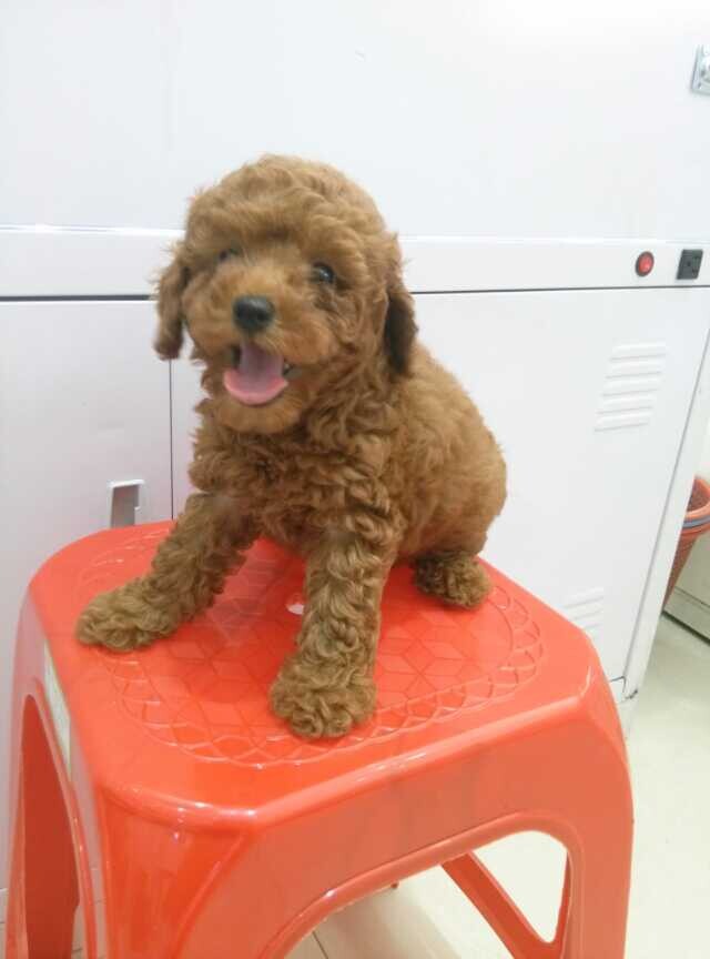 家里的 小沙沙!!798 / 作者:罗少爷 / 帖子ID:104336