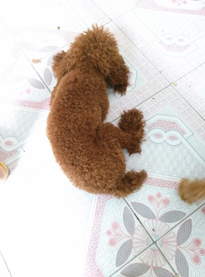 家里的 小沙沙!!564 / 作者:罗少爷 / 帖子ID:104336