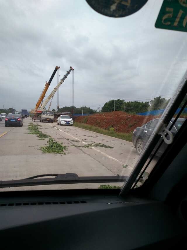 !车祸与荷花!356 / 作者:罗少爷 / 帖子ID:104339