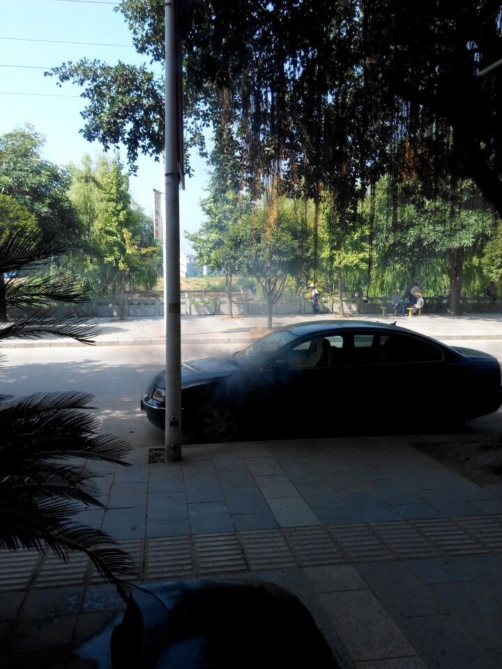 滨江苑小车自燃965 / 作者:键盘上的音符 / 帖子ID:104615