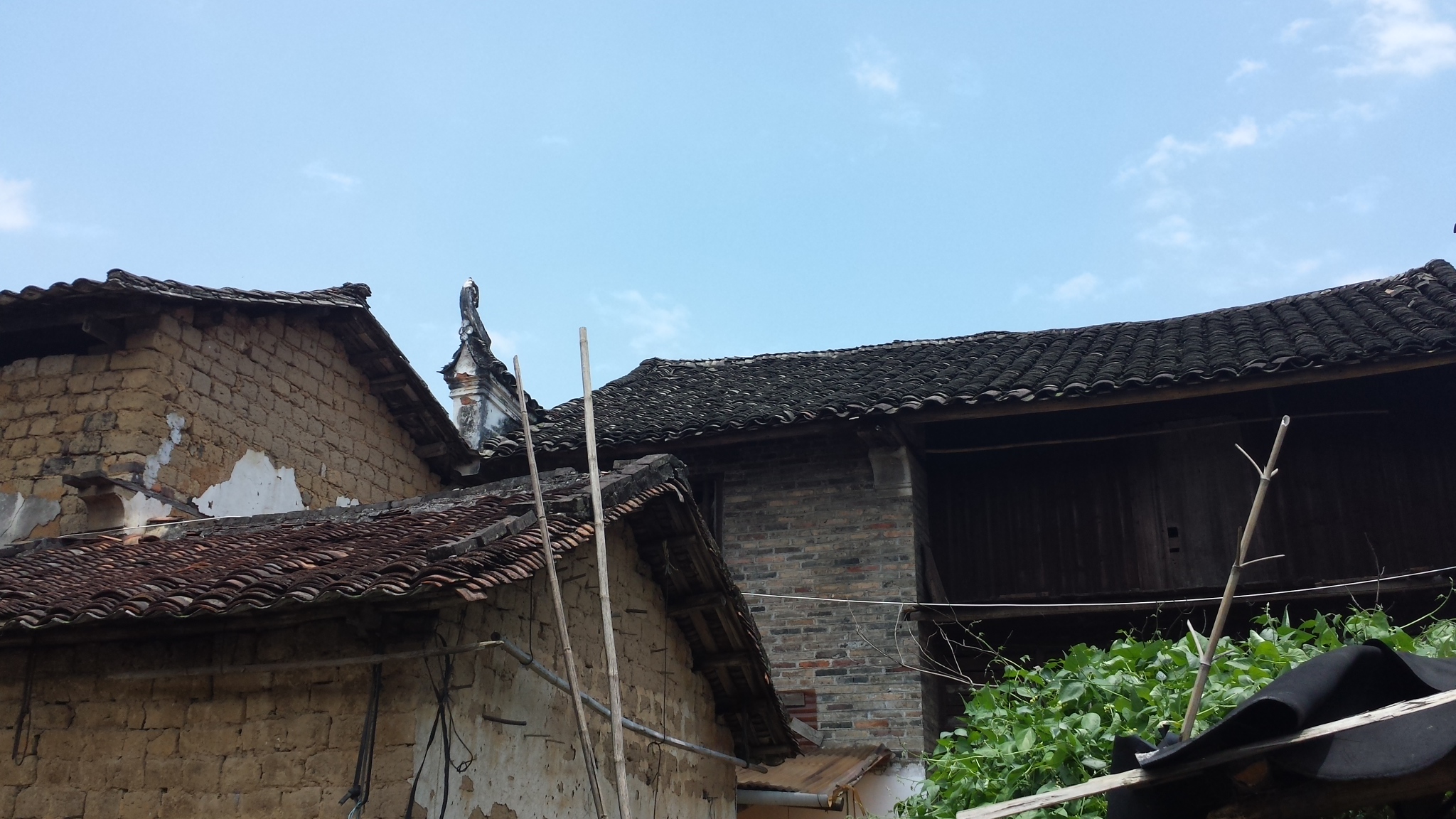 古建遗珠之栗木下大合470 / 作者:箩筐索 / 帖子ID:104740