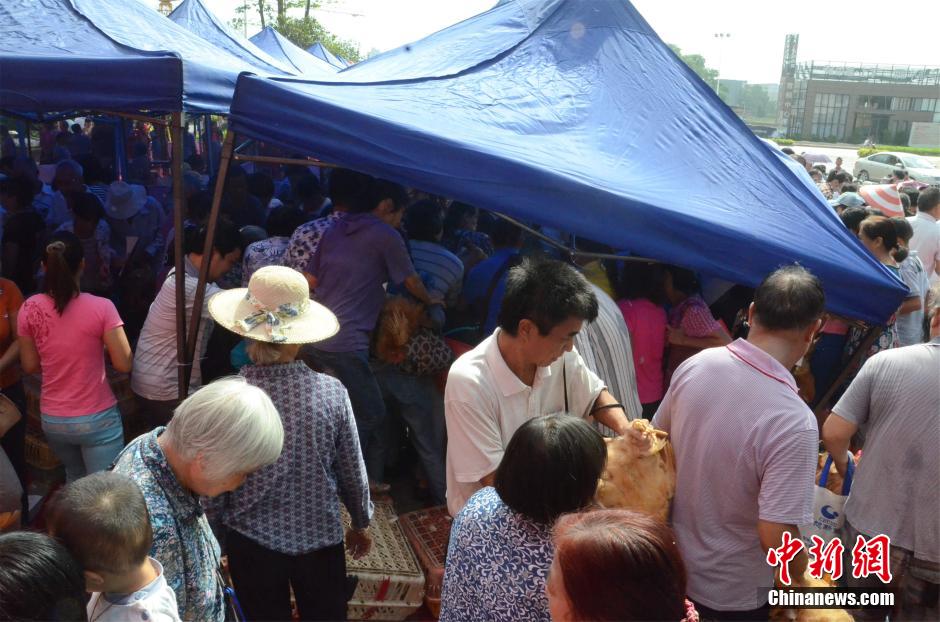 南宁开发商“抓鸡”活动引市民哄抢场面激烈837 / 作者:小天我鸟 / 帖子ID:104778