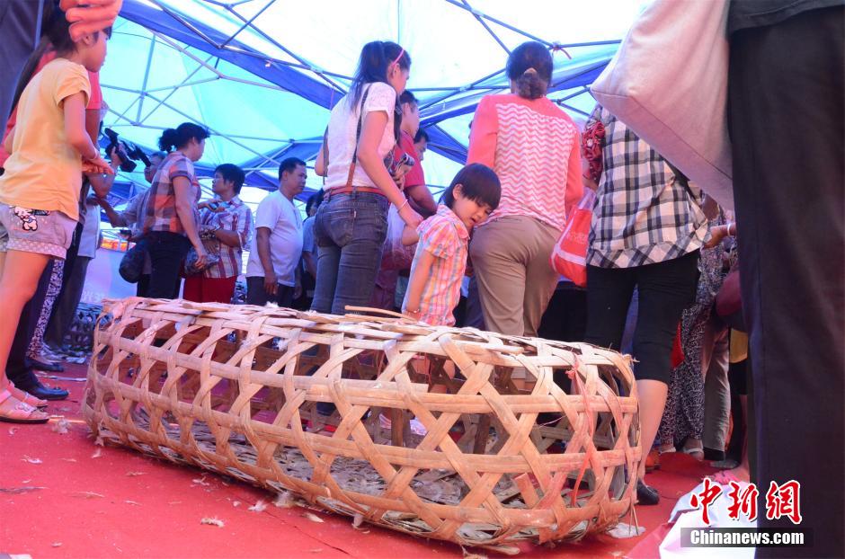 南宁开发商“抓鸡”活动引市民哄抢场面激烈466 / 作者:小天我鸟 / 帖子ID:104778