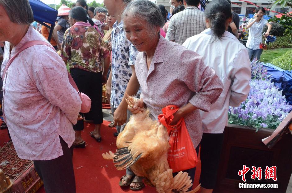 南宁开发商“抓鸡”活动引市民哄抢场面激烈114 / 作者:小天我鸟 / 帖子ID:104778